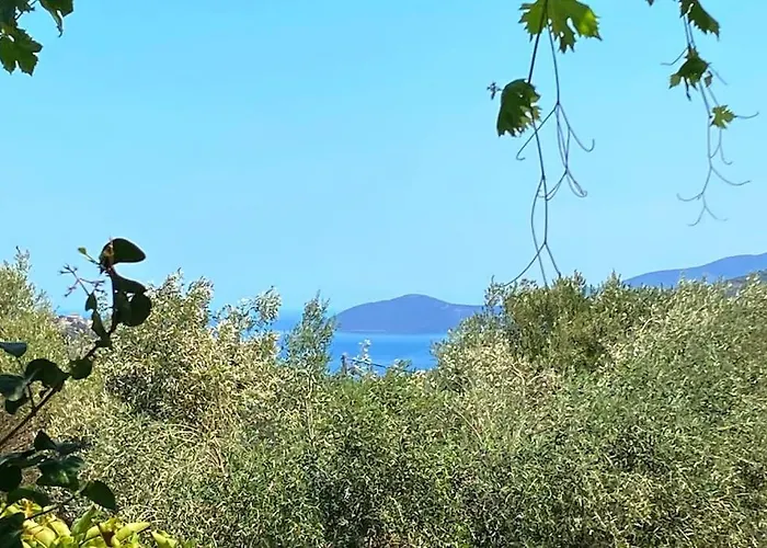Bee - Dom wakacyjny Agia Efimia