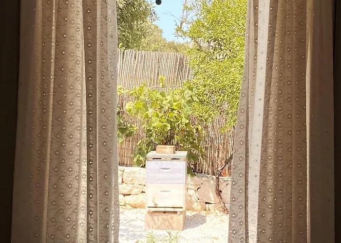 Bee - Agia Efimia