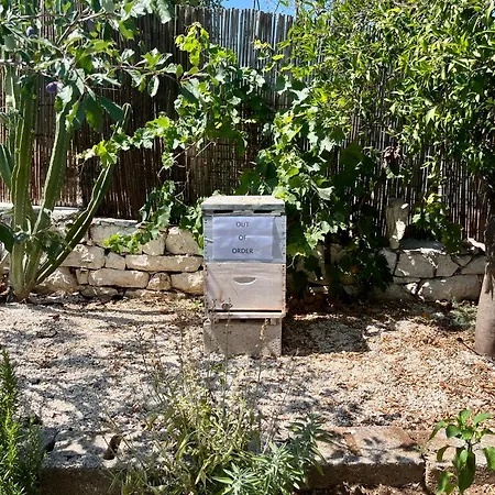 Bee - Agia Efimia