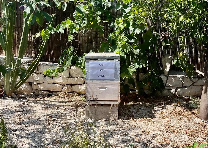 Bee - Agia Efimia